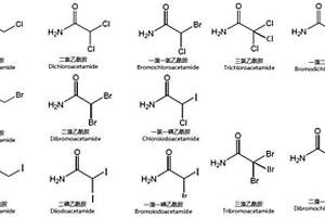 同時檢測飲用水中13種鹵代酰胺類消毒副產物的方法