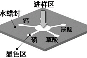 尿結石風險因子檢測紙芯片及其制備方法