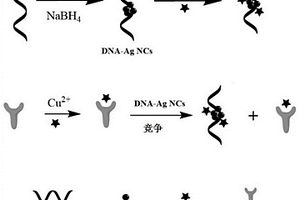 基于銅離子介導的銀納米簇熒光檢測草甘膦的方法