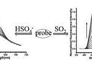 比率型檢測HSO4-離子和SO2及其衍生物的雙功能熒光分子探針