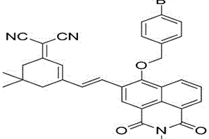 新型近紅外熒光檢測試劑的制備及其體外診斷應用