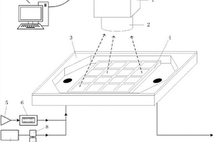 采用光學相機的呼吸氣揮發性有機物成分自動檢測裝置