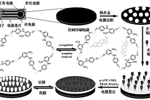 孕酮分子的分子印跡絲網印刷電化學傳感器的制備方法及應用