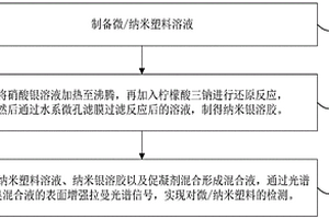 微/納米塑料的表面增強拉曼光譜檢測方法