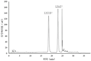 利用離子色譜同時測定乳糖-N-丙糖II和乳糖-N-新四糖的檢測方法