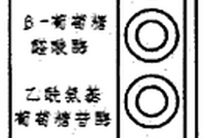 陰道炎檢測試劑盒及其制備方法