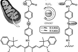 同時檢測過氧化氫和過氧化亞硝基陰離子的近紅外熒光探針及其合成方法和應用