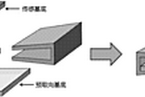 DNA液晶生物傳感器及其制備方法和檢測方法