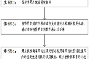 基于拉曼光譜技術與化學計量法的蘋果身份識別方法