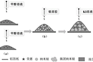 微塑料表面吸附污染物的原位檢測方法