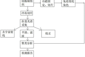基于拉曼光譜的結直腸癌錯配修復蛋白表達的檢測方法