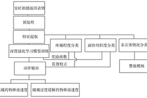 基于視覺檢測的藥物輸注泵控制系統及其控制方法