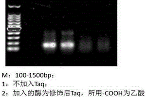 DNA聚合酶的化學修飾方法