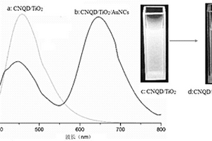 比率型CNQDs/TiO<sub>2</sub>/AuNCs復合熒光微球的制備方法及其應用