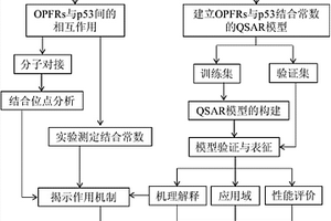 預測生物標志物p53與有機磷酸酯阻燃劑相互作用親和力的方法