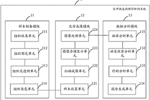 術中快速病理診斷的系統與方法