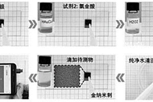 現場即做即用的拉曼增強芯片試劑盒及其制備方法