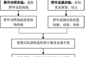 土壤重金屬鉻修復植物的篩選方法