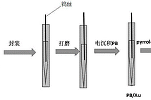 PPy/CDs/PB/Au納米電極、制備方法及其應用