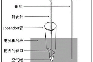 多參數高通量SERS活性微針的制備方法及活性微針