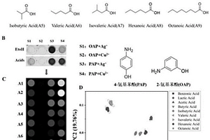基于氨基苯酚-Ag+/Cu2+的有機酸小分子、白酒鑒別方法及可視化傳感陣列