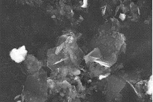 二硫化鉬?石墨烯復合納米片生物傳感器電極的制備