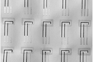 納米纖維素紙基生物傳感器的構建方法