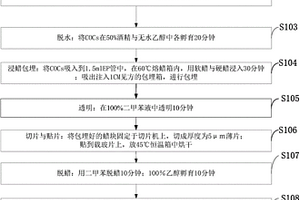 包含多個復合體的新型COCs復合結構組織的制備方法
