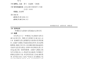 銅離子光譜探針及其制備方法和應用