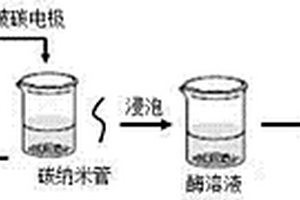 基于石墨烯/碳納米管的生物傳感器的制備方法