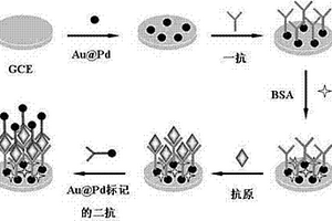 金鈀核殼材料構建肺癌腫瘤標志物免疫傳感器制備及應用