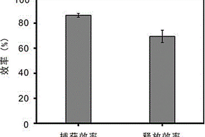 可逆組裝和分解的Strep-tag多肽標記的生物分子衍生化基質及其應用