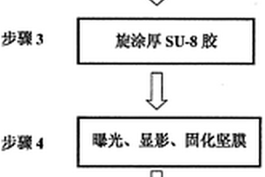 集成有微流控系統的光學微納生物傳感器的制作方法
