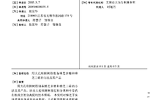 用大孔吸附樹脂制備樟芝多糖和樟芝三萜的方法及其產品