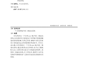 一個含維納噪聲的二維混沌系統