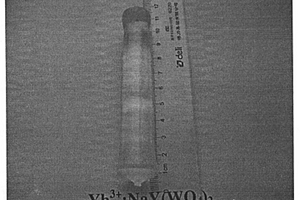 鐿激活鎢酸釔鈉新型雙波長激光晶體