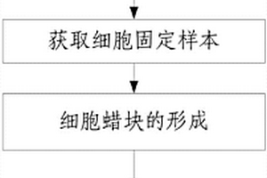 完整呈現惡性腫瘤細胞位置的細胞塊石蠟切片制作方法