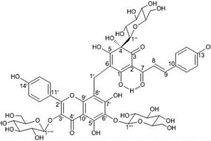 具有抗腫瘤活性和抗炎活性的醌式查爾酮與黃酮醇結合物及其制備方法和應用