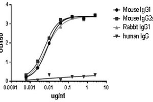 micropolymer-HRP-納米抗體復合物及其制備方法