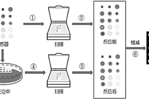 基于嗅覺成像傳感技術的黃酒酒齡鑒別方法和鑒別系統