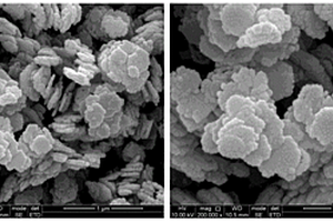 雪餅狀NiCo2O4納米材料修飾的電極材料及其制備方法和應用
