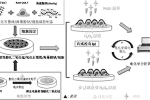細胞傳感器、其制備方法以及利用該細胞傳感器評價抗氧化能力的方法
