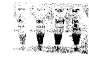 量子點免疫熒光探針的制備方法