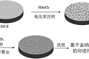 基于金納米粒子的印跡傳感器及其制備方法和應用