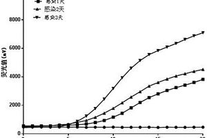 快速鑒定感染日本血吸蟲釘螺的方法