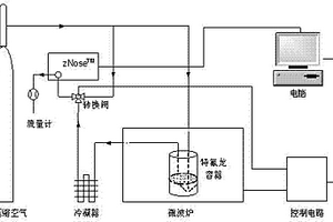 用于果蔬加熱干燥過程中的氣味在線監測方法