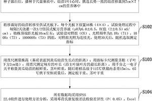 LED連續光和不同頻率間歇光對黃瓜生長的測試方法