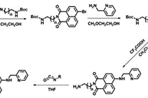 熒光化合物、熒光探針和熒光傳感薄膜及其制備方法和應用