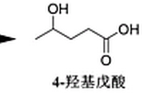 催化劑及其該催化劑的應用、制備、性能測試方法