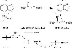 alpha-酮戊二酸的熒光/紫外分子探針的制備方法及其在生物樣本中的應用